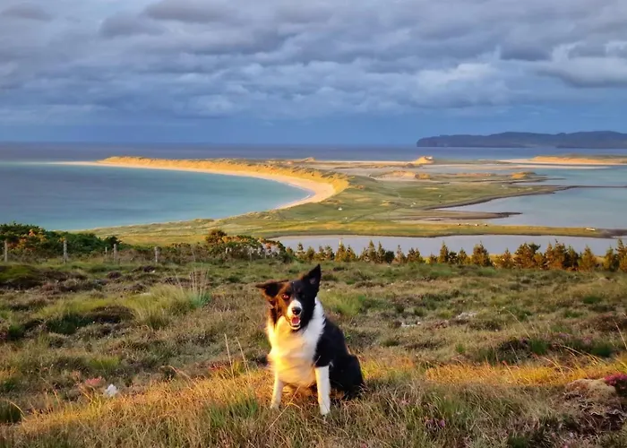 Machaire Rabhartaigh Glamping Chalet *